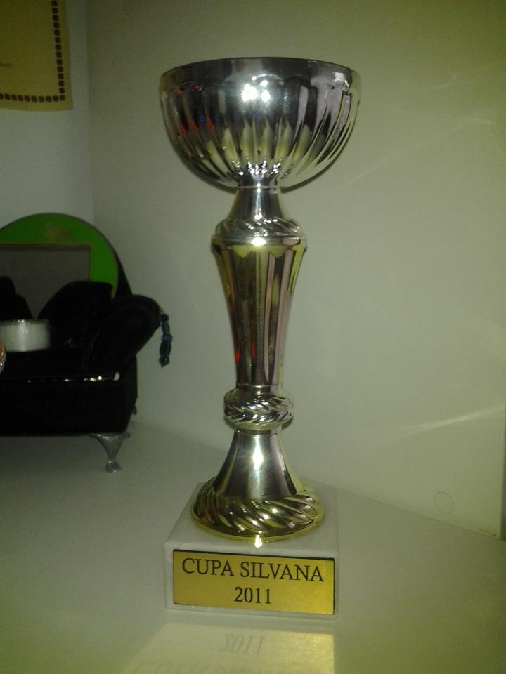 Cupa 2011